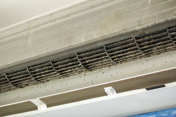 Best Professional Duct Cleaning Services  in Battlefield, MO